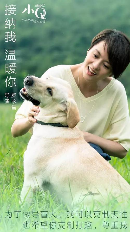 怎么做假马尼托巴省